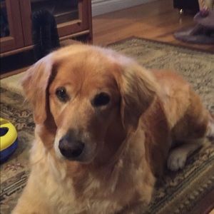 Meet your Posher, Gabrielle